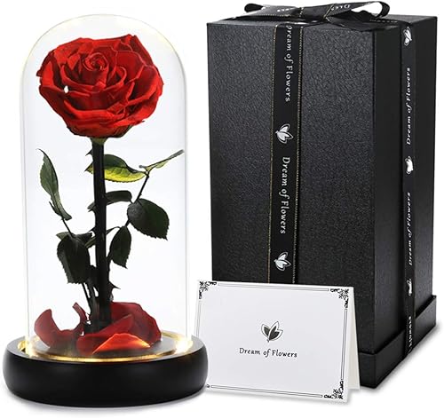 Miniatura 8 de Regalos de flores de Navidad para ella, rosa de la Bella y la Bestia, con 40 ajustes de brillo LED de color blanco cálido, regalos de flores de Rosa
