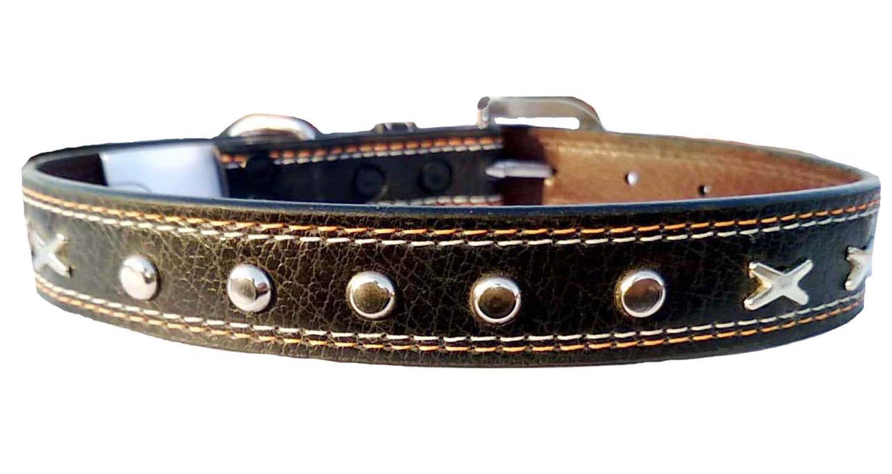 Petlia letherite Collar Belt for Dog Extra Extra Large (B08L1BPL1H) Amazon Price History, Amazon Price Tracker