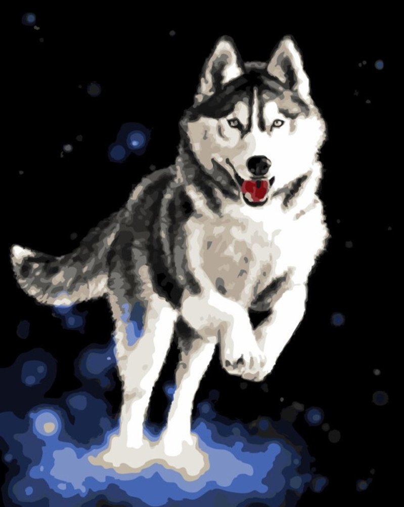 Wowdecor White Paint By Numbers Kits, Number Painting - Husky Dog 16X20 Inch (Frameless)
