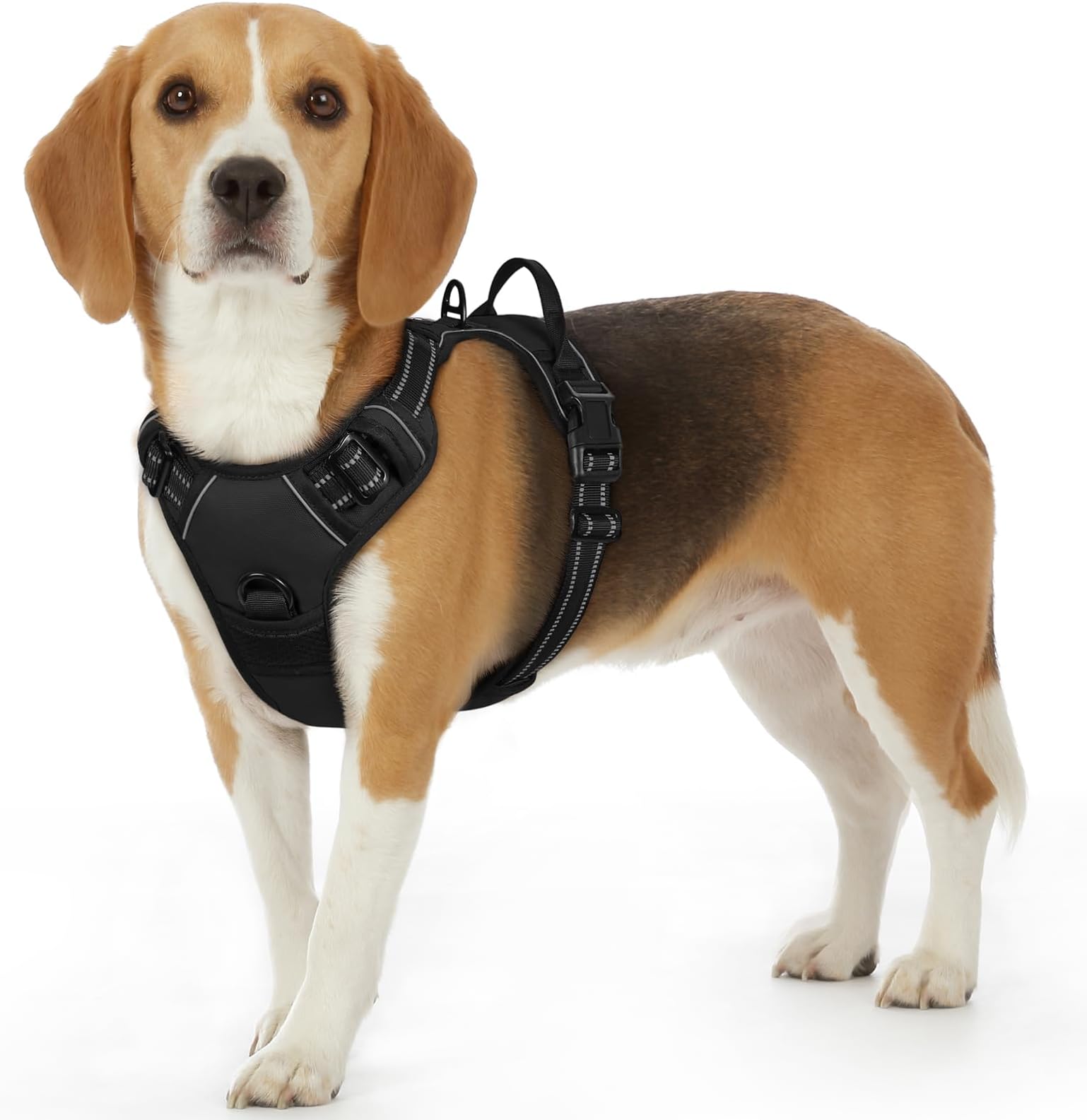 Rabbitgoo Hundegeschirr Für Kleine Hunde, Verstellbar, Weich Gepolstert, Mit Griff & Reflektor – Beige, Größe M