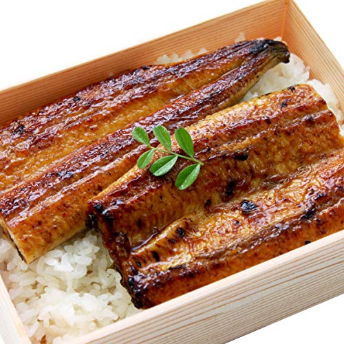 【岩松水産】 国産 新仔うなぎ 約160g×4尾 鹿児島産