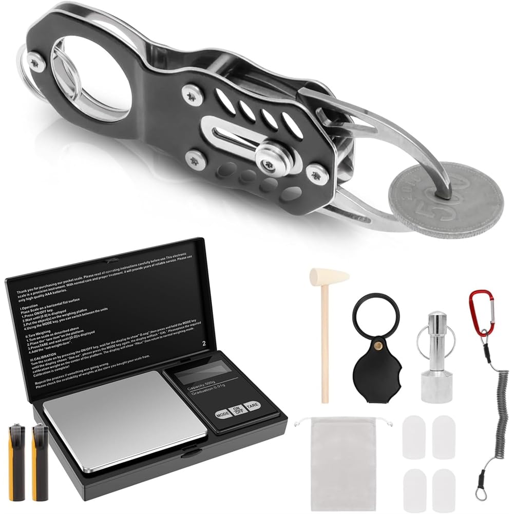 Jnchdghwa The Pocket Coin Pingpinger Tester Kit with Gram Scale 500g/0.01g High Digital for Weighing Jewelry,Diamonds,Gold &Silver