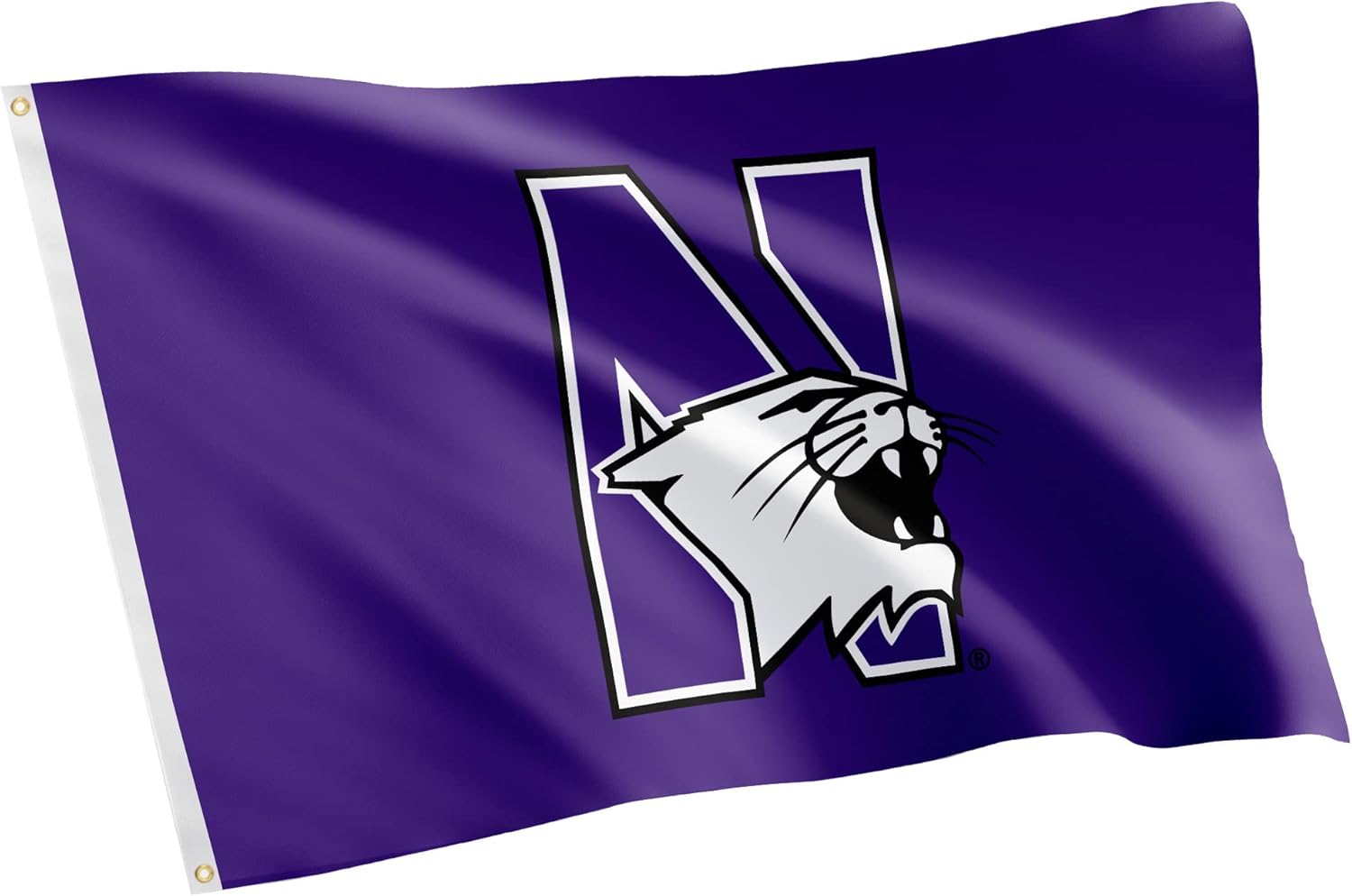 Desert Cactus Northwestern University NU Flag - 3 x 5 Feet Wildcats Banner, Indoor/Outdoor Durable Fabric, 100% Polyester Design (Style 5)