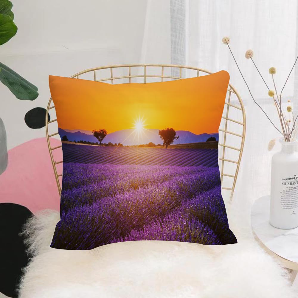 HYOSXW Cushion Cover,Throw Pillow Case Home Decorative for Living Room Bedroom Sofa Chair 16X16 Inch,Lavender Field Summer Sunset Landscape with Two Trees near Valensole,Pillowcase 40X40cm