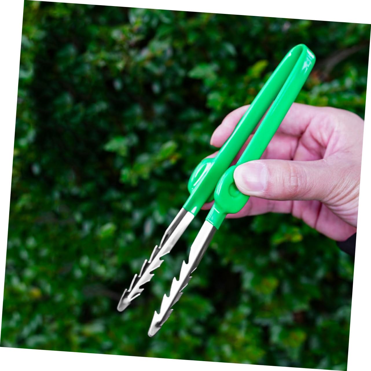 ifundom 5 Pezzi Pinzette da Giardinaggio Portatili Ergonomiche per Piante Strumento per Bonsai Facile da Usare e Pratico Attrezzo Compatto per Hobbistica e Giardinaggio
