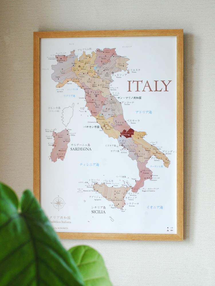 イタリアの地図入り額装 ⭐️アンティーク 希少 ヴァチカン美術館のイタリア地図ポスター