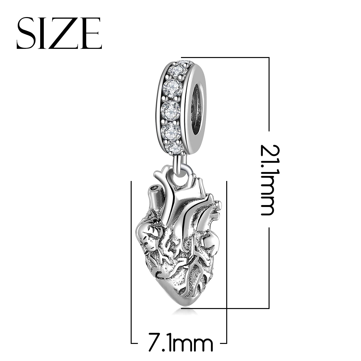 Abalorio anatómico gótico de Plata de Ley 925 para abalorio de serpiente europea para collar de pulsera para regalo de mujer