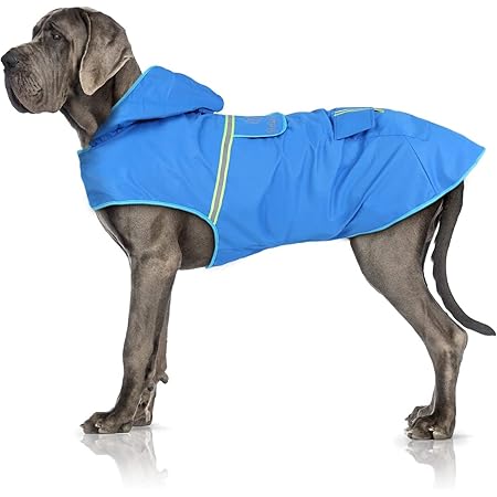 zellar dog raincoat