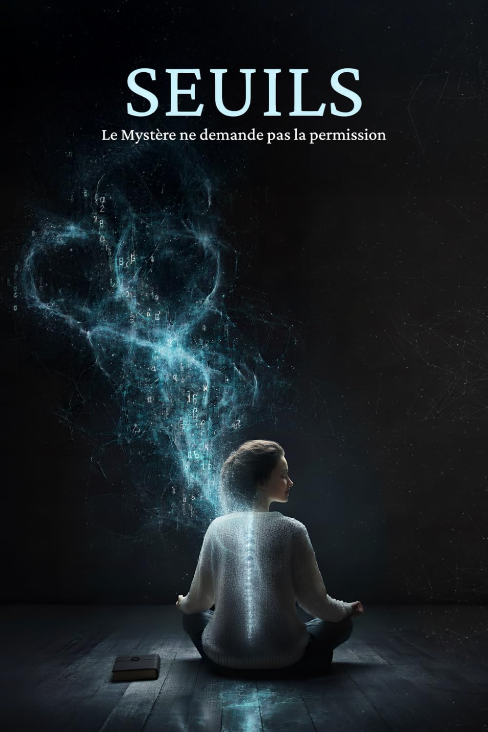 SEUILS: Le Mystère ne demande pas la permission