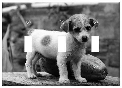 Switch Plate Triple Toggle - My Dogs The Field Armenia Quindio 3