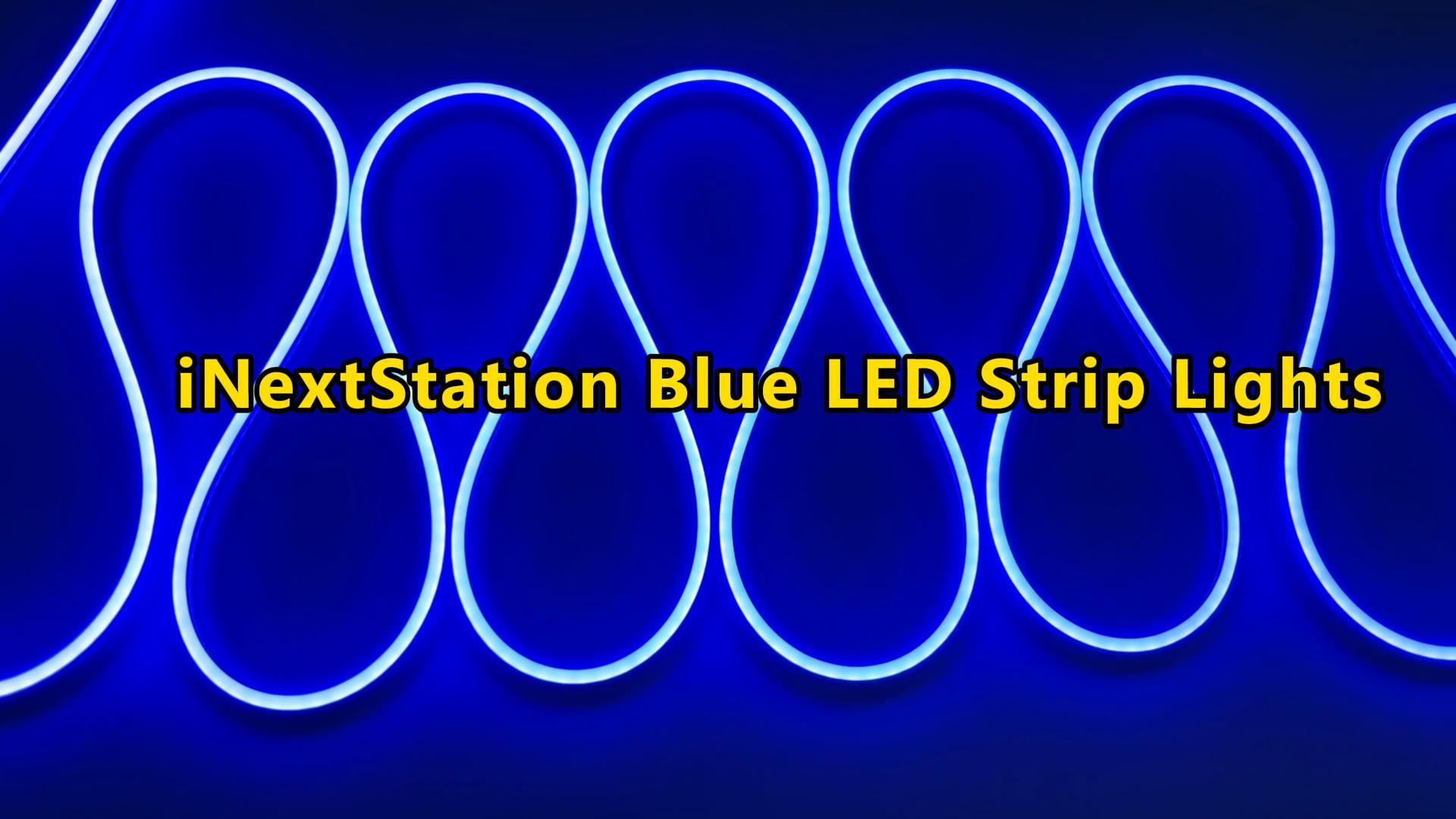 Amazon.co.jp: iNextStation LEDテープライト 5m 12v 防水 ブルー