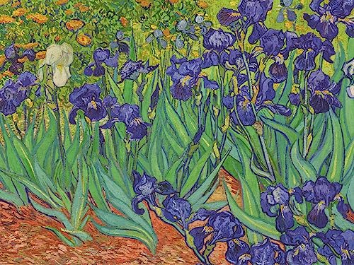 Image of Van Gogh Flowers Note Card Set of 16 Blank Note Cards with Envelopes
