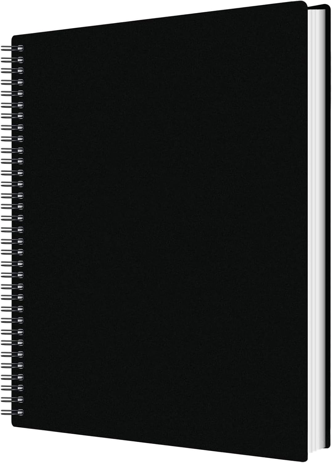 50 Pockets Portfolio Binder with Plastic Sleeves, Presentation Book Display 100 Pages File Folder for Artwork, Sheet Music, Document, Diamond Painting (50 Pockets Portfolio Binder)