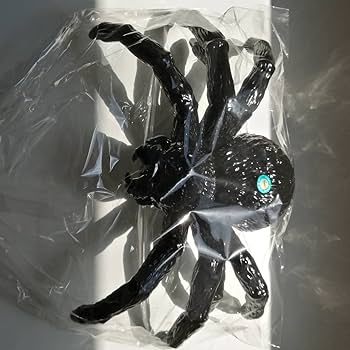 61X4HXQlR1L._UF350,350_QL80_.jpg