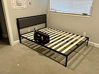 Review Image by Cameron