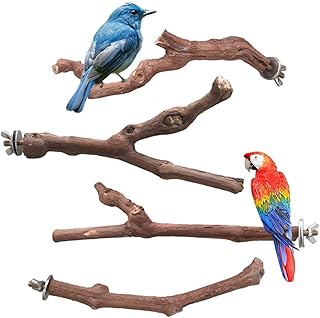 4PCS Bird Perch Stand Natural Wooden Parrot Stand,Bird Perches,Grape Wood Perch,Natural Wood Bird Perch Stand, Hanging Multi Branch Perch for Parrots, Parakeets Cockatiels, Conures, Macaws