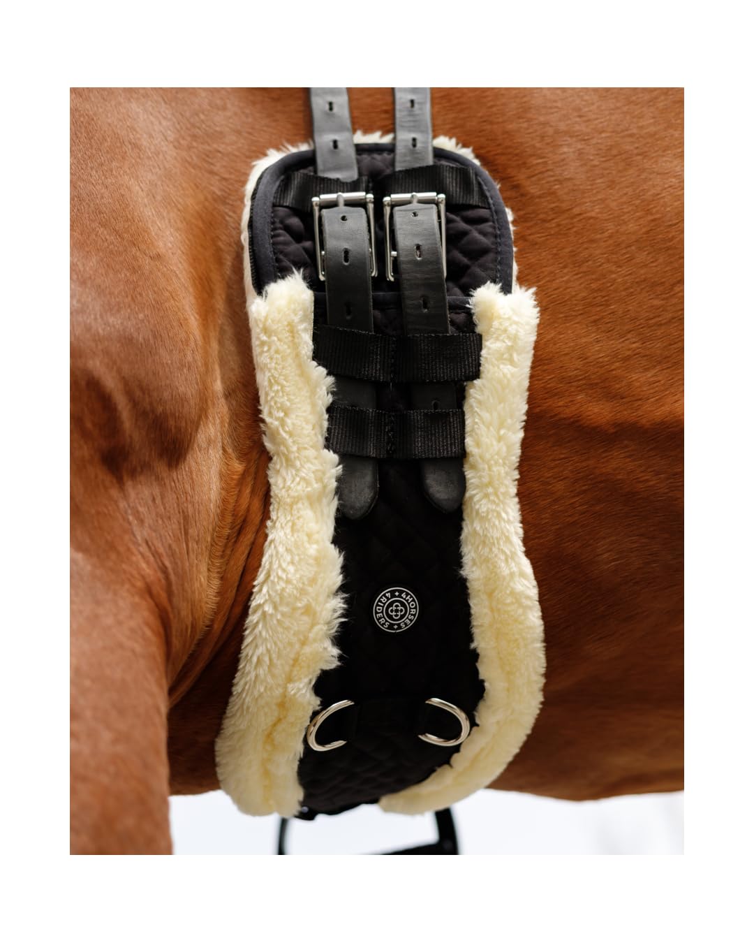 4Horses Sattelgurt Miami anatomisch geformter Gurt weiche Polsterung stabile Schnallen Dressur Springen