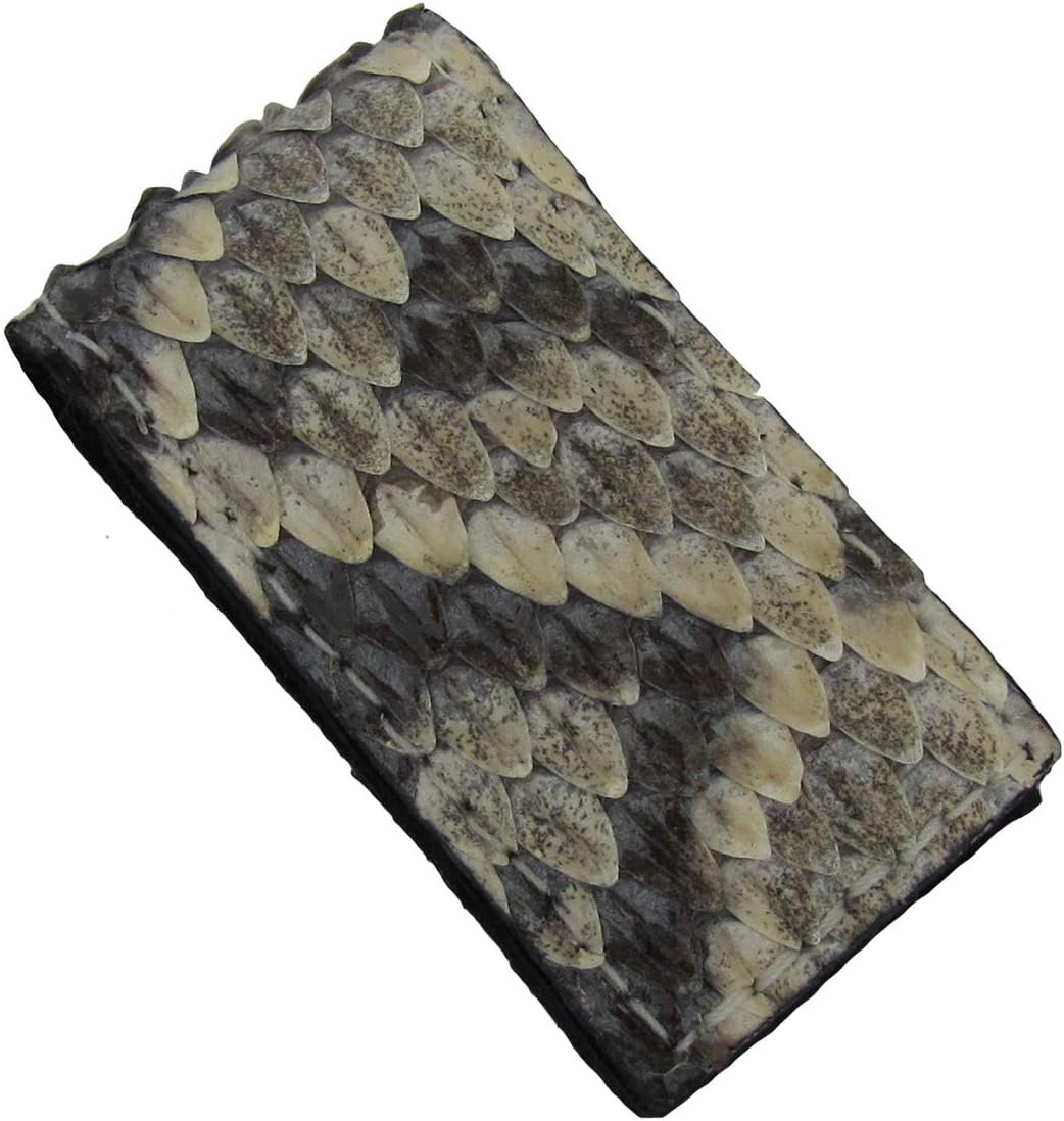 Treasure Gurus Real Rattlesnake Money Clip Mens Genuine Snake Skin Credit Card Holder