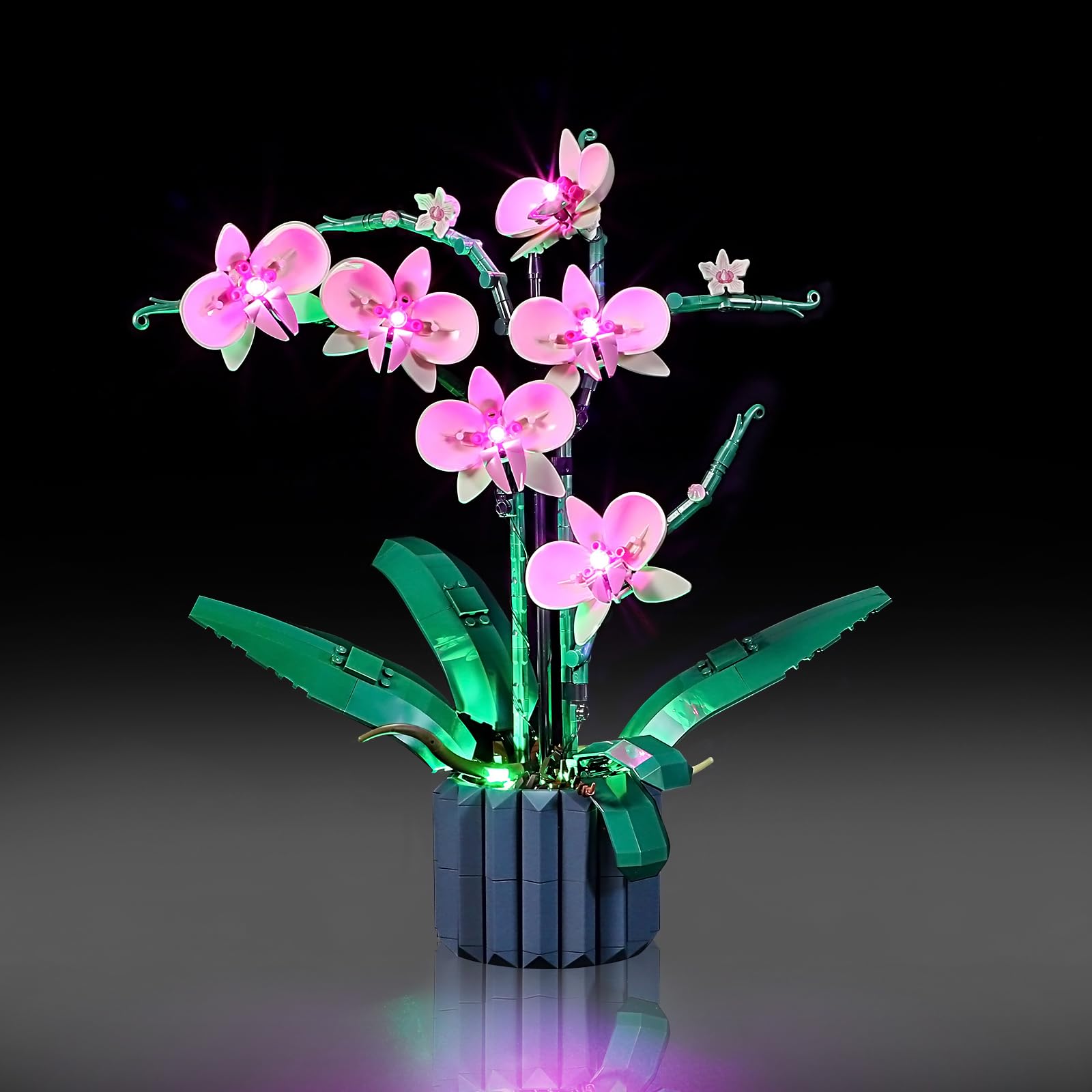 Mililier LED Light Kit for Lego 10311 Orchid Plant Decor Set, Compatible with Lego 10311 Building Blocks Model(Not Include Blocks Set)