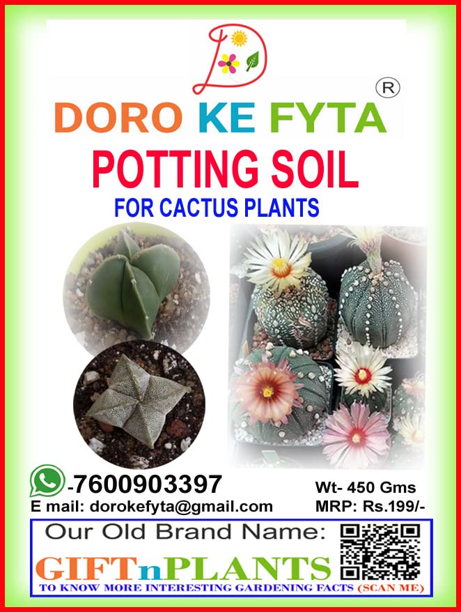 Cactus Potting Soil (Wt-400 Gms) with One Free Astrophytum Asteria Cactus