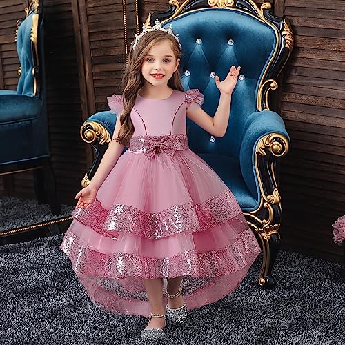 Girls Embroidery Princess Dress Kids Sleveless Wedding Birthday Party Long Tail Prom Gowns2