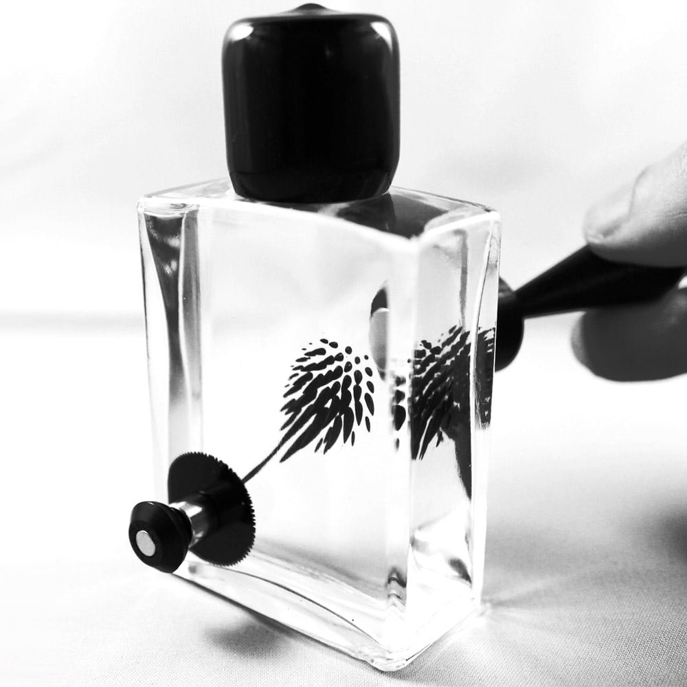 CZFerro Squared Magnetic "Ferrofluid" Desktop Display, Glass, Black, 60 ml