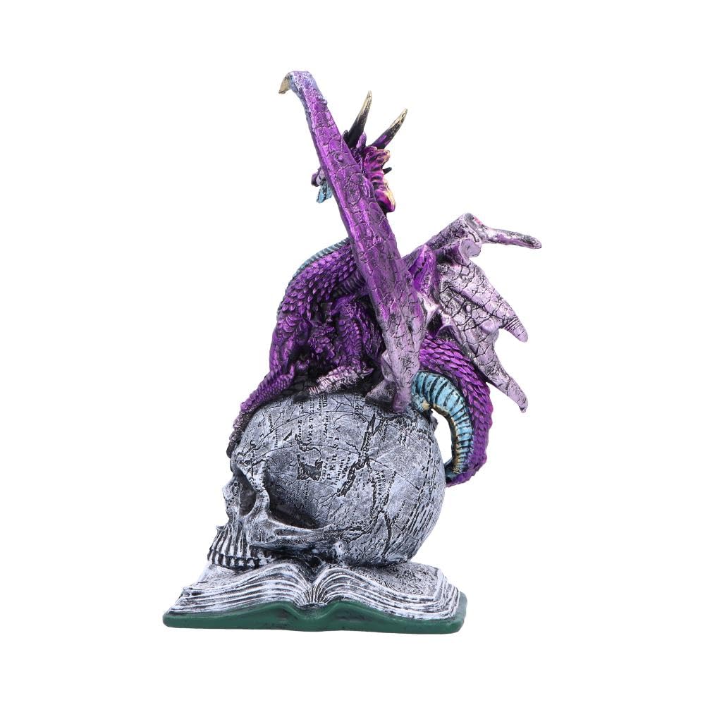 Nemesis Now Drachenstatue aus Kunstharz – handbemalte Drachenfigur auf metallischem Totenkopf und Buch – Geschenke und Dekoration für Fantasy-Liebhaber – Titans Reign