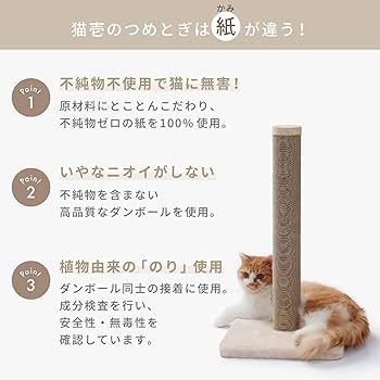 ねこめし圧縮庵様 ねこめし圧縮庵様 AZONE INTERNATIONAL::えっくす☆きゅーと