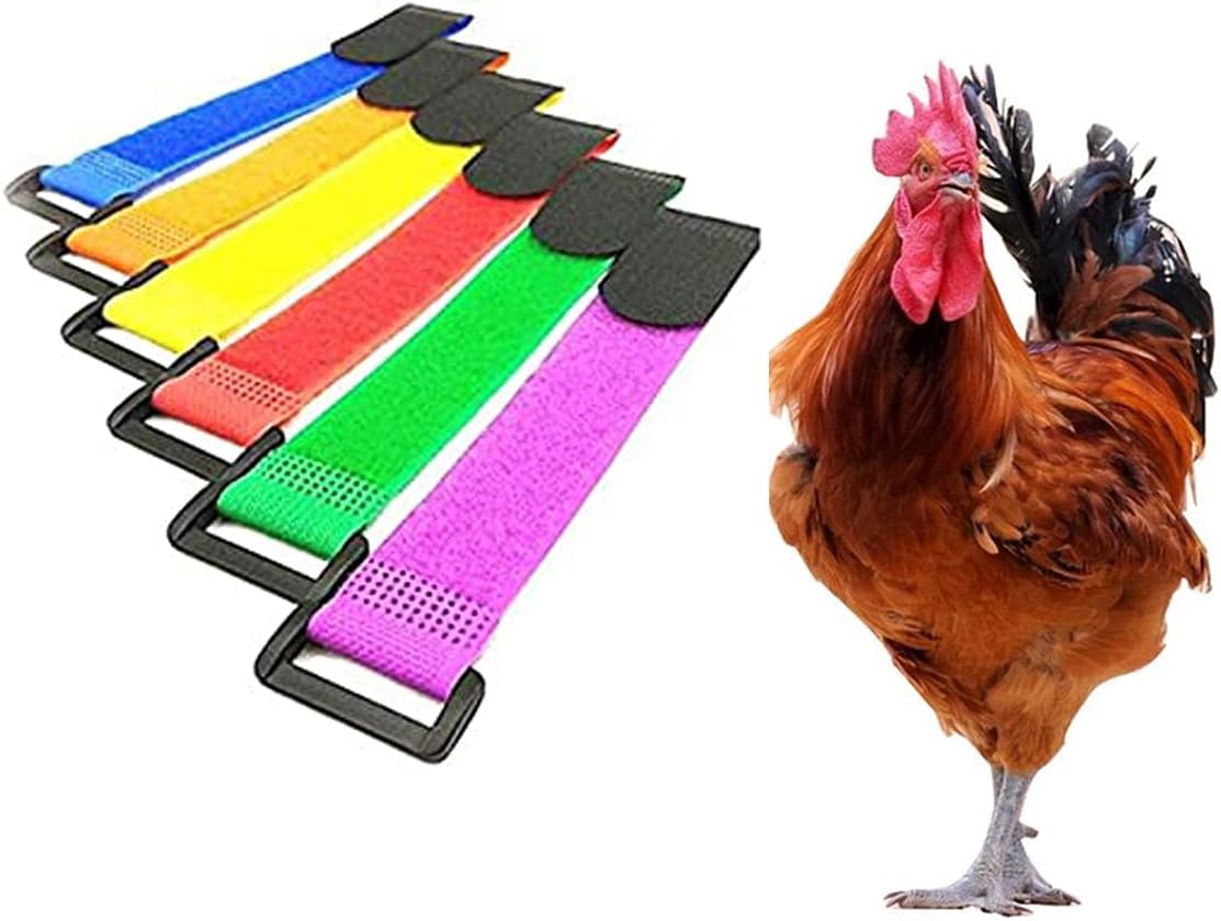 6 Pieces Large No Crow Rooster Collar for Chicken Pet to
