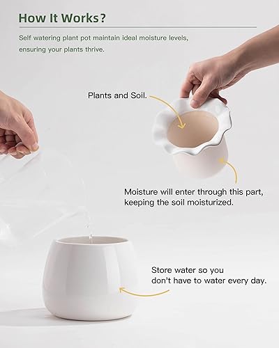 Miniatura 4 de Maceta de riego automático, mantenimiento de macetas de violeta africana de 6 pulgadas, maceta de cerámica con riego automático para plantas de