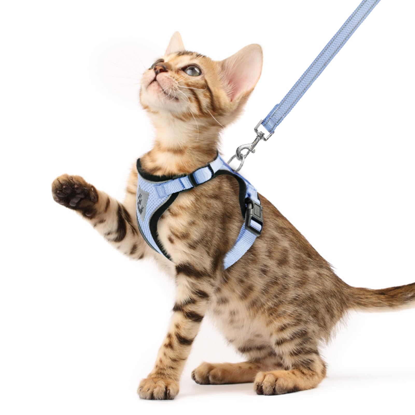 PUPTECK Cat Harness and Leash Set Escape Proof Reflective Cat Walking Harness Adjustable Soft Breathable Mesh Vest for Small Pets, Sky Blue, XS