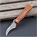 Mushroom Knife, Fungus Knife, Folding Camping Hunting Truffles Harvest Sharp Knives Natural Wood Handle Pocket knife w/ Bristle Brush, SS pruning blade, Hardwood handle