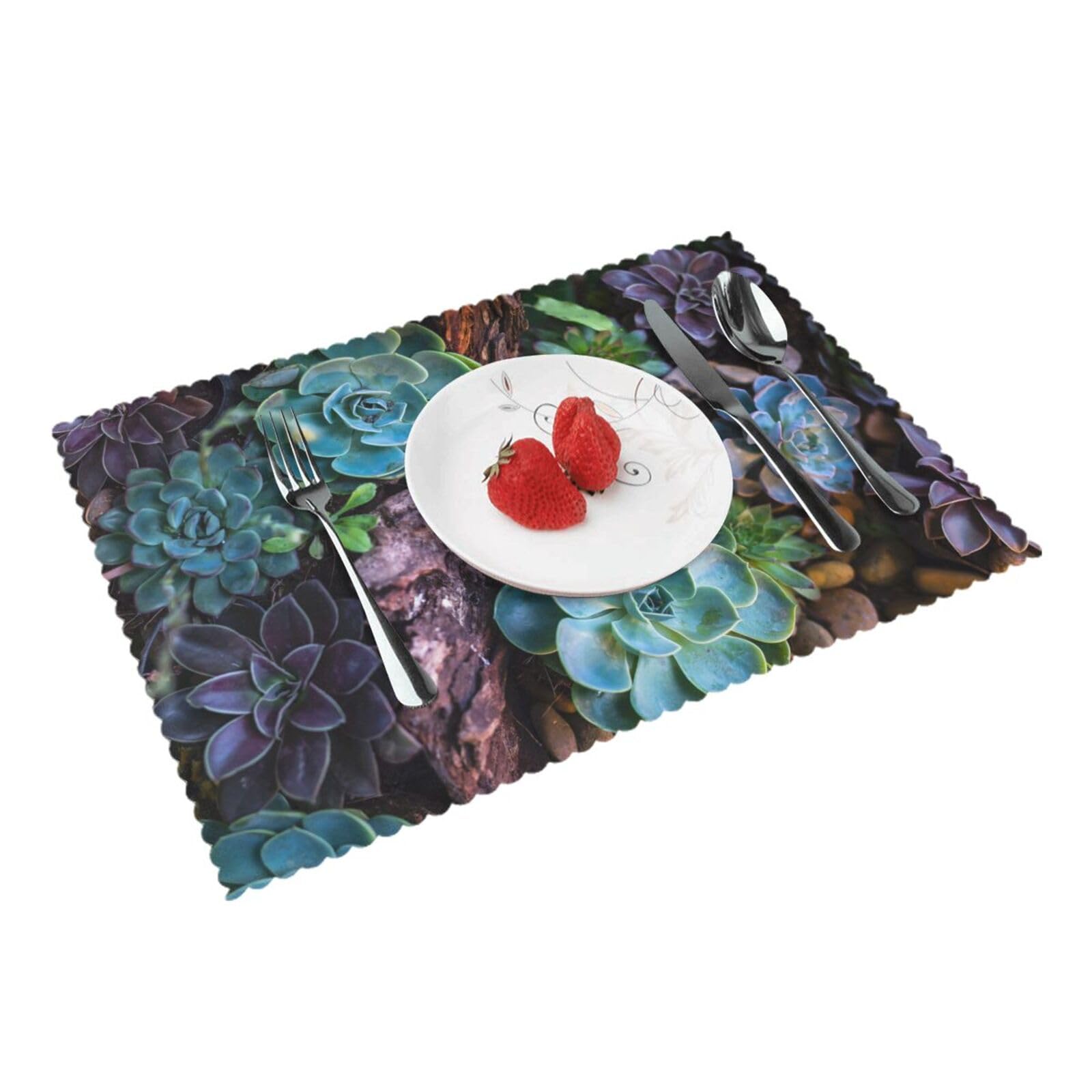 Succulent plants Printed Placemats Set of 4 PCS Washable Placemat for Kitchen Table Heat-resistant Table Mats 45x30 CM