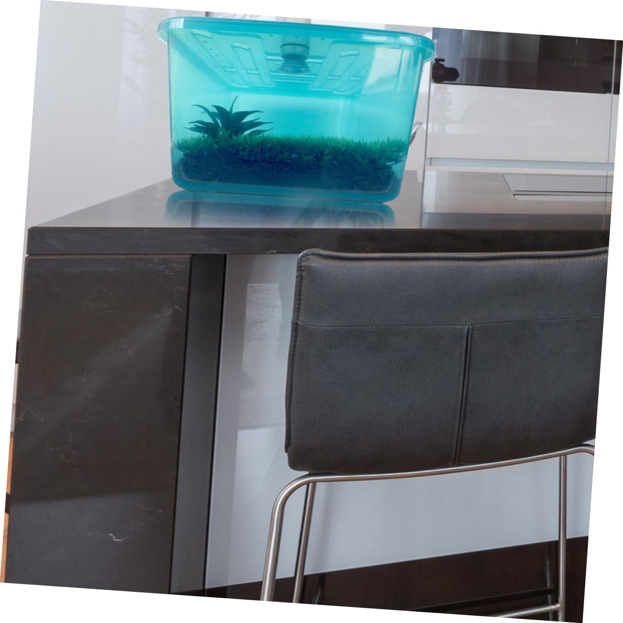 INOOMP Acquaterrario Tartarughe Blu in Plastico Piattaforma per Asciugatura e Vasca Alimentazione Integrata, Terrario Pratico e Resistente per Rettili