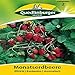 Produktbild Monatserdbeeren Rügen | Rankenlos | Aromatisch (Fragaria vesca) -