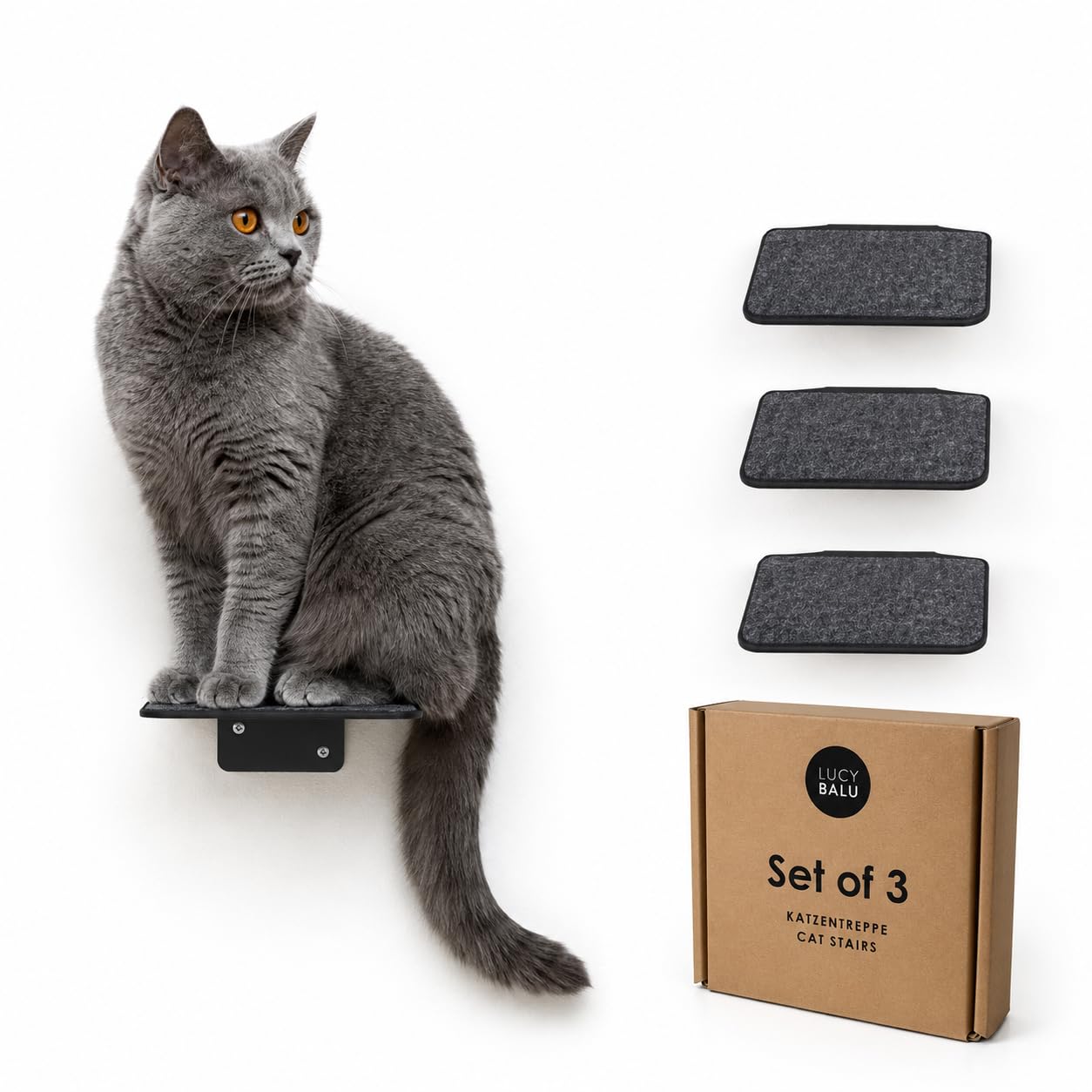 LucyBalu Steps Escalera para gatos para pared interior y exterior, juego de 3 unidades, para gatos de hasta 7 kg, revestimiento antideslizante, 3 niveles, fijación a la pared, 18 x 18 cm, antracita