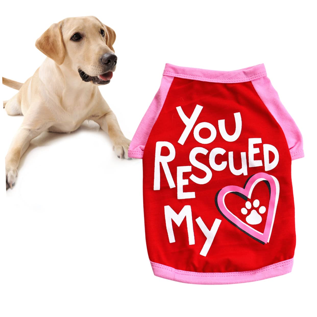 Mipcase Regenbogen-Tanktop Für Hunde – Atmungsaktives Baumwoll-Shirt Für Kleine Hunde & Katzen