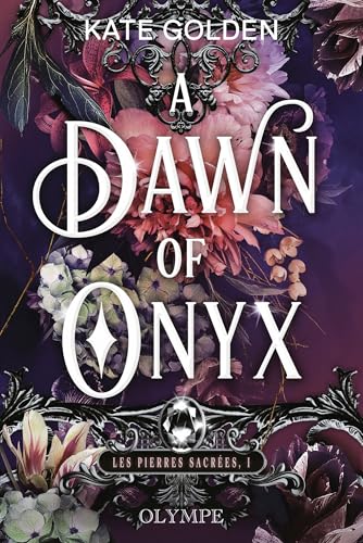 Illustration de A Dawn of Onyx