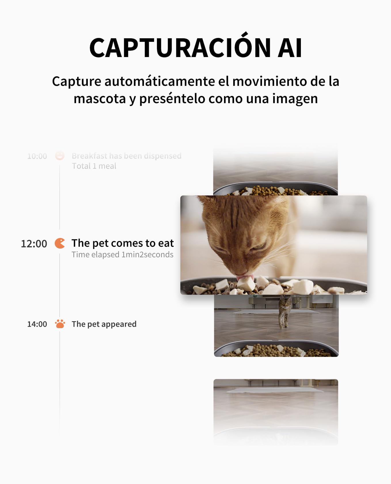 PETKIT PETKIT Automatic Cat Feeder with Camera, 5L Double Hopper Dispenser Food Cats/Dogs, 1080P HG, AI Function, 2.4G WiFi, Two-Way Audio, App Control, Stainless Steel Bowl in use