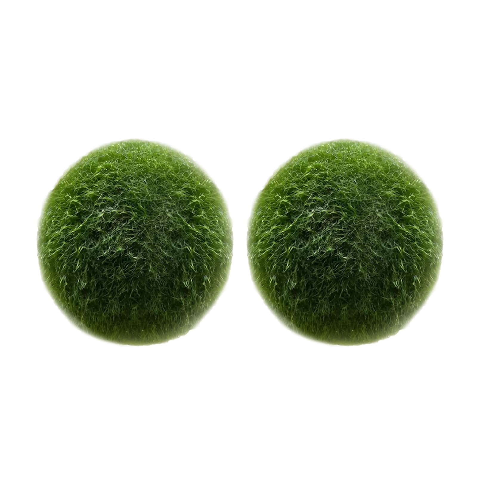 Lot de 2 boules d'algues vertes naturelles pour aquarium, décorées de boules d'algues vertes (L)