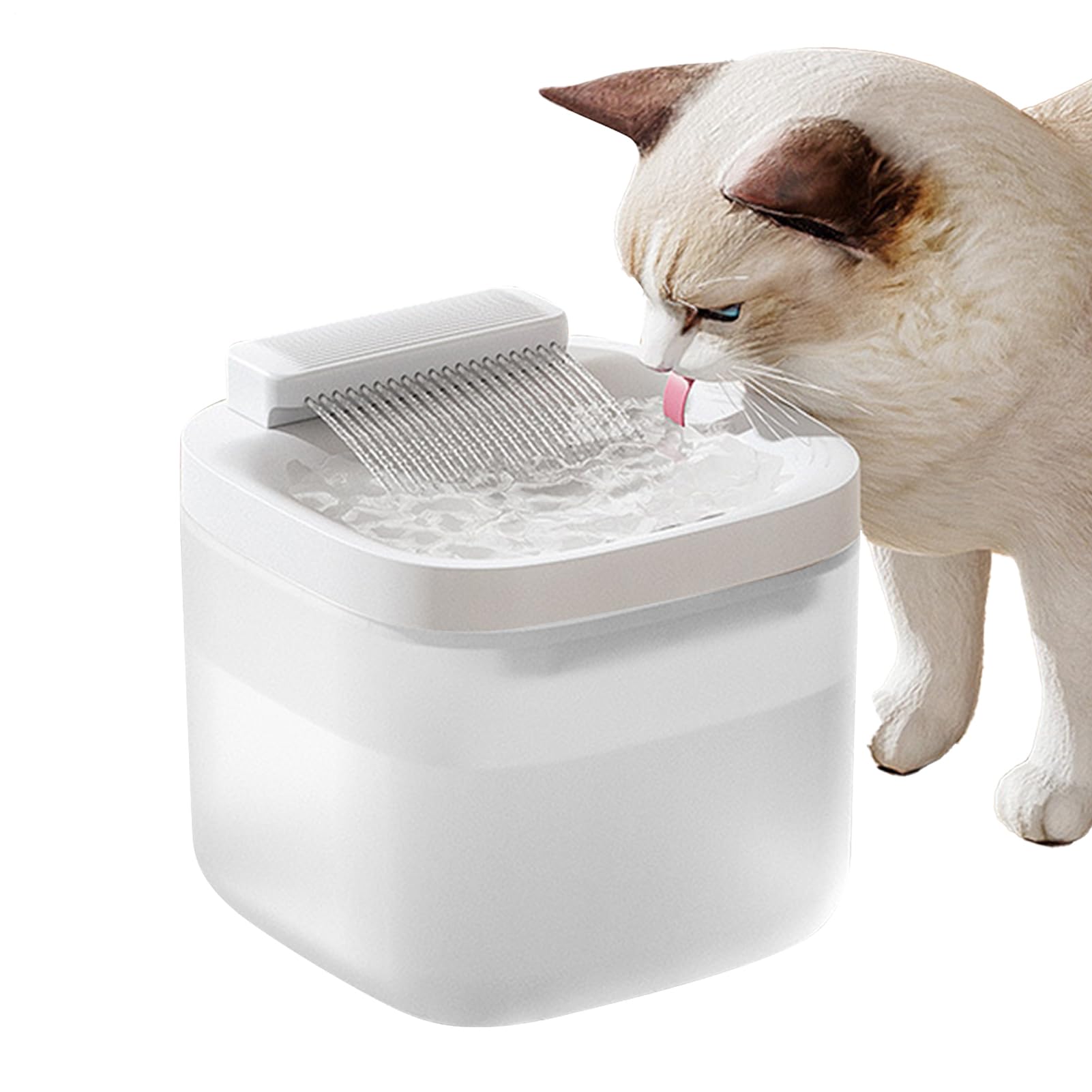 Fontaine d'eau pour chat avec filtration automatique pour le bien-être du chiot