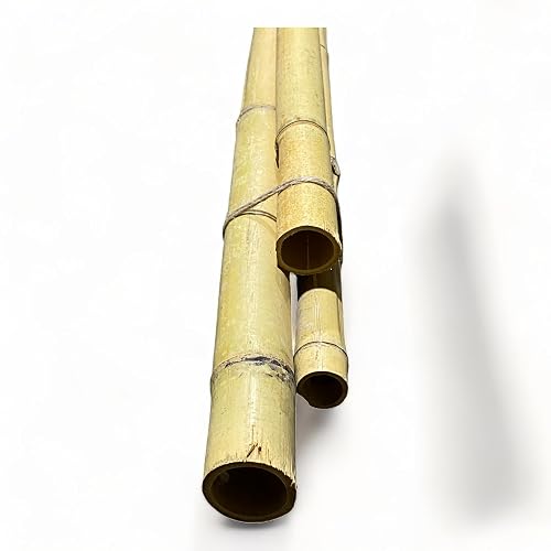 Pack of 3 Bamboo Sticks - 6 Feet Long Natural