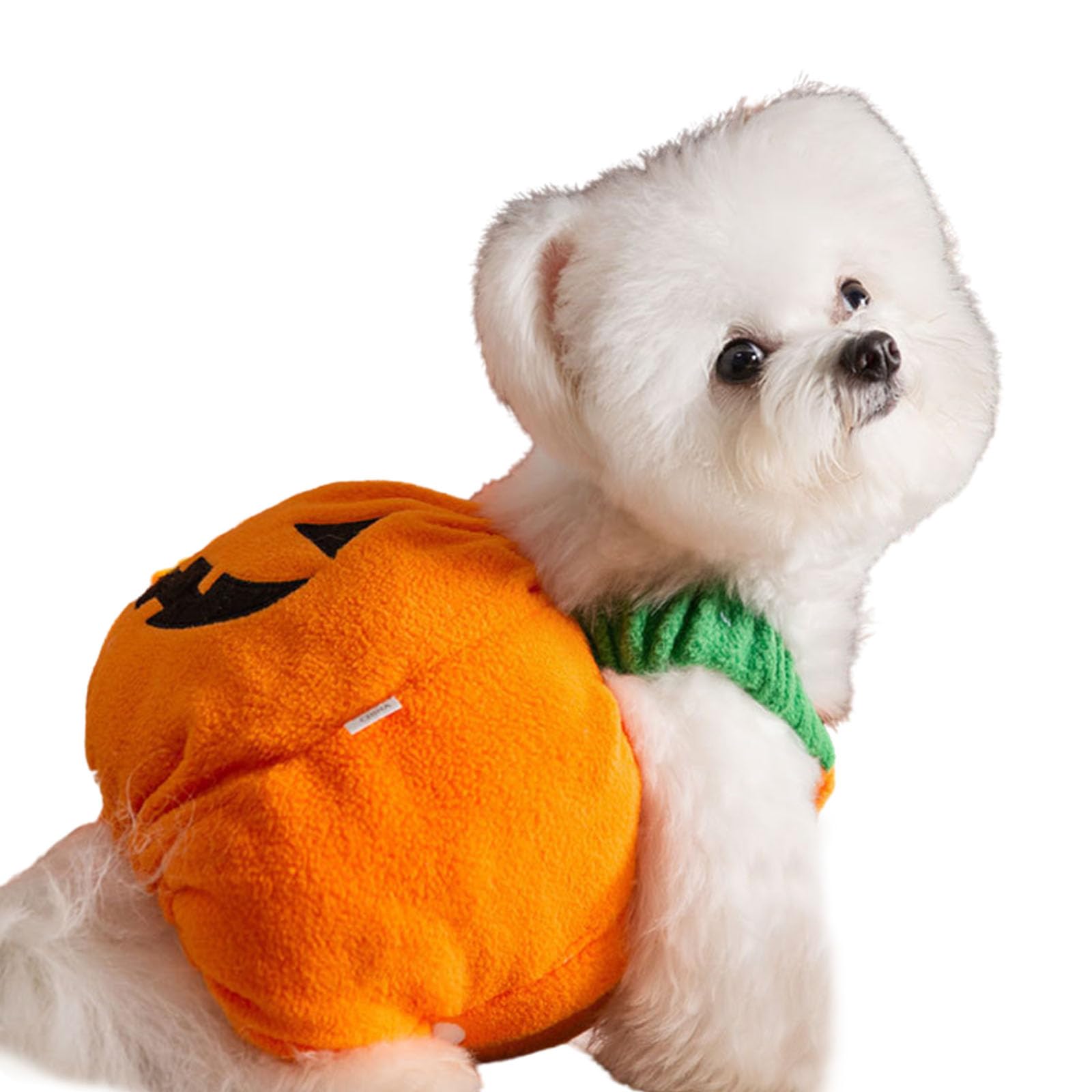 BT Bear Pet Halloween Costume,Pumpkin Coat Dog Halloween Cloak Holiday Dress Up Cosplay Costumes(Pumpkin,S)