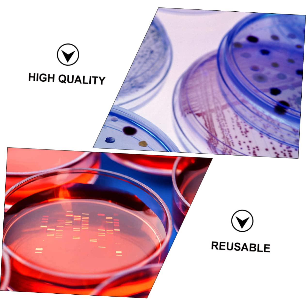 KICHOUSE 30pcs Set Petri Dish Seeding Petri DIY Petri Cell Dish Specimen Dish Laboratory Dish Lab Dish Petri Plate Science Project Supplies Plastic Transparent