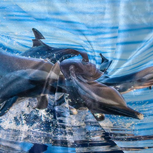 Colourlife Dolphin Family Leaping Out Soft Blanket Throw Cozy Warm Flannel Fleece Blanket For Kids Women Bed Sofa Couch Beach 50X60 Inches #TOP3