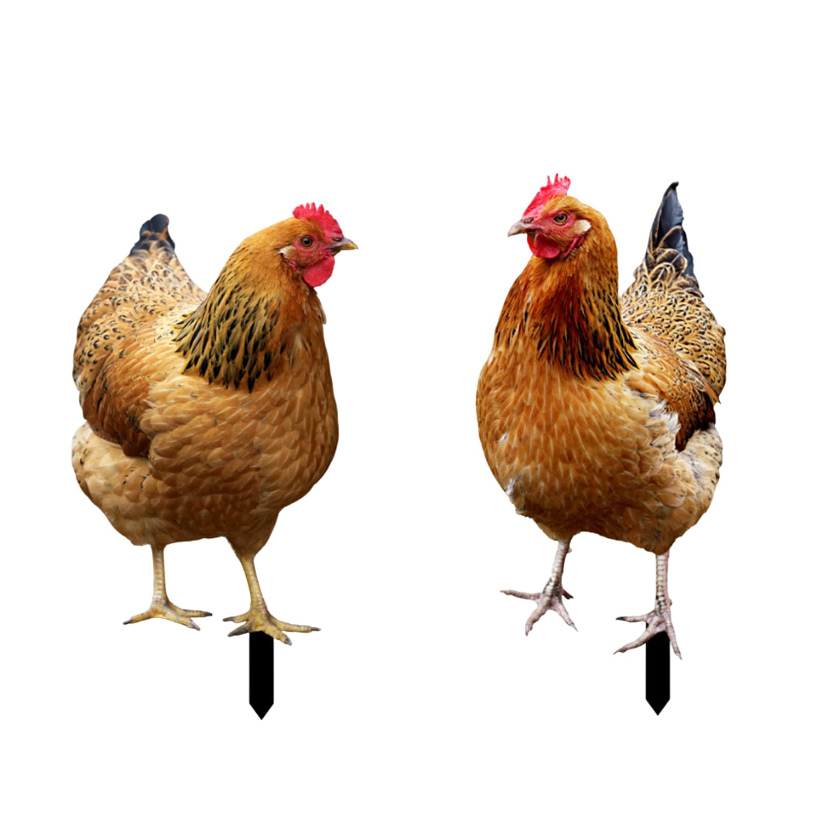 Hintyne Garden Chicken Decor Chicken Garden Stake Acrylic Statues Outdoor Yard Decoration Yard Art for Lawn Ornament Style1