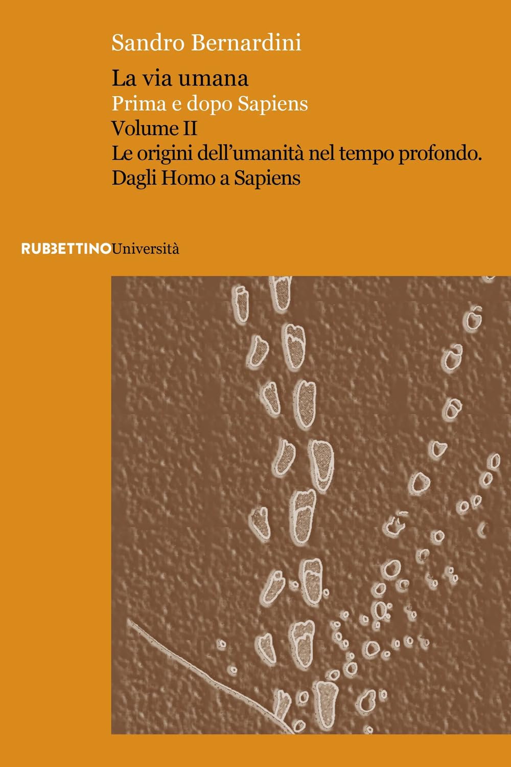 La Via Umana. Prima E Dopo Sapiens. Le Origini Dell'umanità Nel Tempo Profondo. Dagli Homo A Sapiens (Vol. 2) - 4