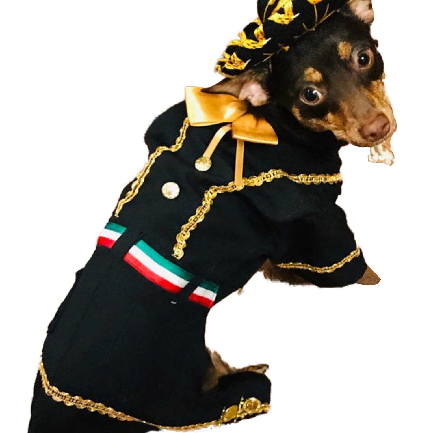 Mariachi dog costume (M) Handmade Products