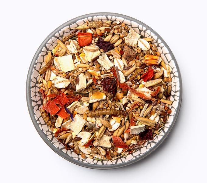 Bunny HamsterTraum Expert | Doppelpack | 2 x 500 g | Alleinfuttermittel für Hamster | Ohne Pellets, ohne Extrudate, Plus Vitamine | Mit schmackhaften Mehlwürmern und Sesam