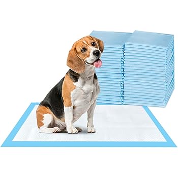 animaze training pads